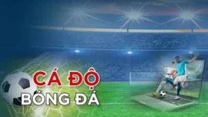 Tìm Hiểu Cá Cược Bóng Đá FB68: Hành Trang Cho Bet Thủ
