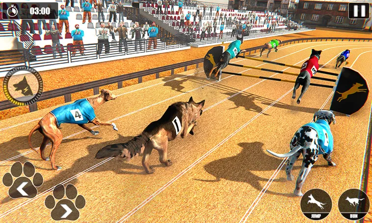 Hướng Dẫn Chơi Game Đua Chó Tại FB68 Nhanh Chóng Và Hiệu Quả
