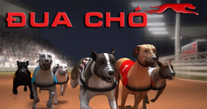 Hướng Dẫn Chơi Game Đua Chó Tại FB68 Nhanh Chóng Và Hiệu Quả