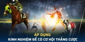 Tìm Hiểu Cá Cược Thể Thao Ảo FB68: Hành Trình Giải Trí Đỉnh Cao